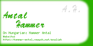 antal hammer business card